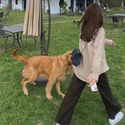 影子军队